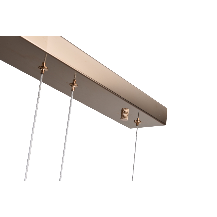 Zuma Line - Lámpara colgante LED con cable LED/36W/230V oro rosa