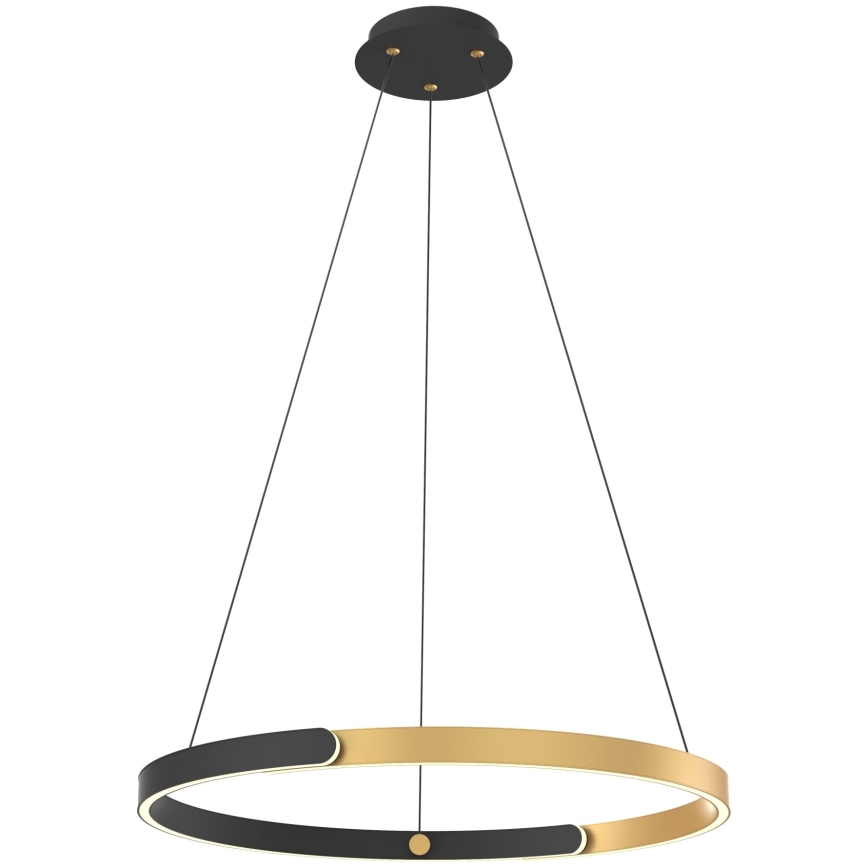 Zuma Line - Lámpara de araña LED regulable LED/30W/230V negro/dorado
