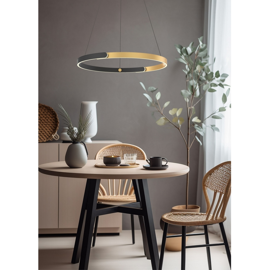Zuma Line - Lámpara de araña LED regulable LED/30W/230V negro/dorado