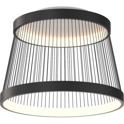 Zuma Line - Plafón LED regulable LED/32W/230V 2700-6000K negro + control remoto