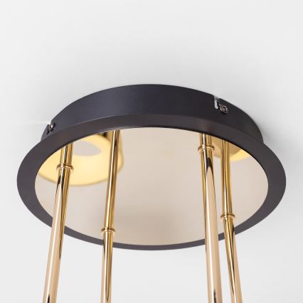 Zuma Line - Plafón LED regulable de montaje en superficie LED/60W/230V dorado/negro