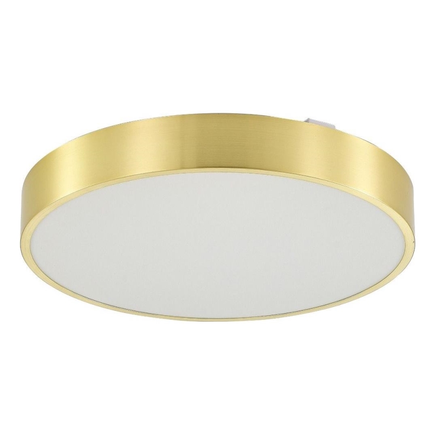 Zuma Line - Plafón de baño LED regulable LED/50W/230V 3000-6000K d. 50 cm IP44 dorado + mando a distancia