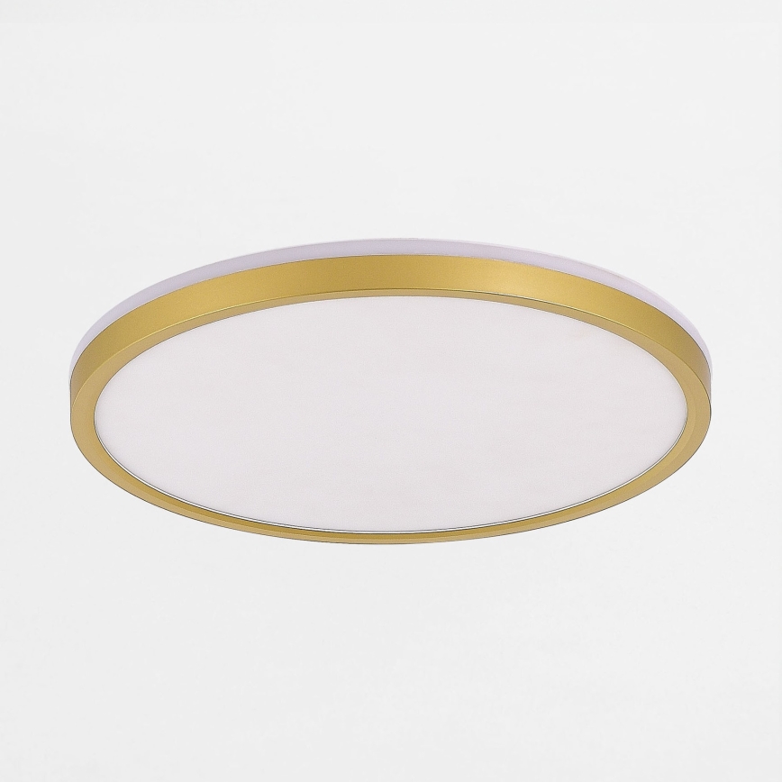 Zuma Line - Plafón LED regulable LED/26,5W/230V + LED/6,5W 3000/4000/5500K diá. 32 cm dorado