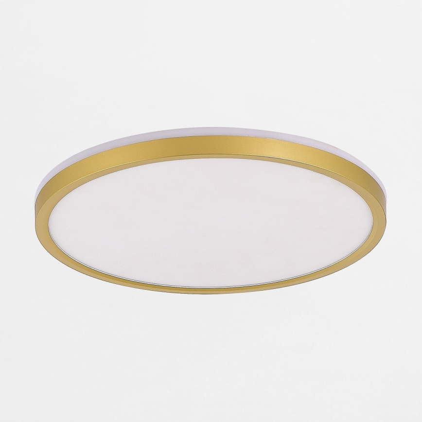 Zuma Line - Plafón LED regulable LED/38W/230V + LED/11W 3000/4000/5500K diá. 50 cm dorado