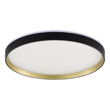 Zuma Line - Plafón LED RGBW regulable LED/32W/230V + LED/8W 3000-6000K negro/dorado + control remoto